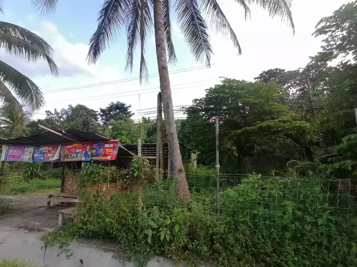 600 SQM LOT Along Koronadal National Highway  - photo 3