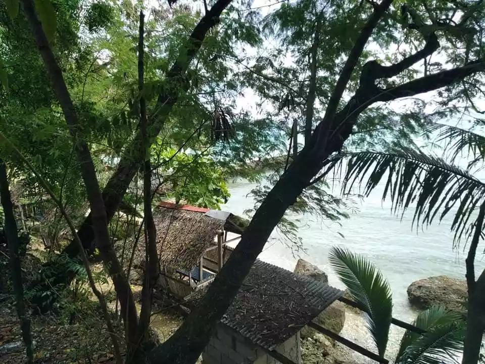 Open photo 12 of 15 — Beachlot