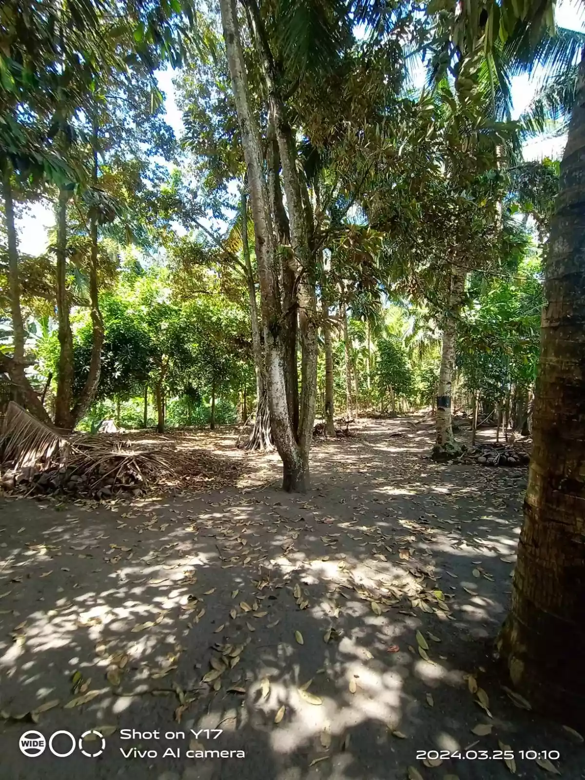 Open photo 19 of 21 — 1 HECTARE FOR SALE IN POLOMOLOK