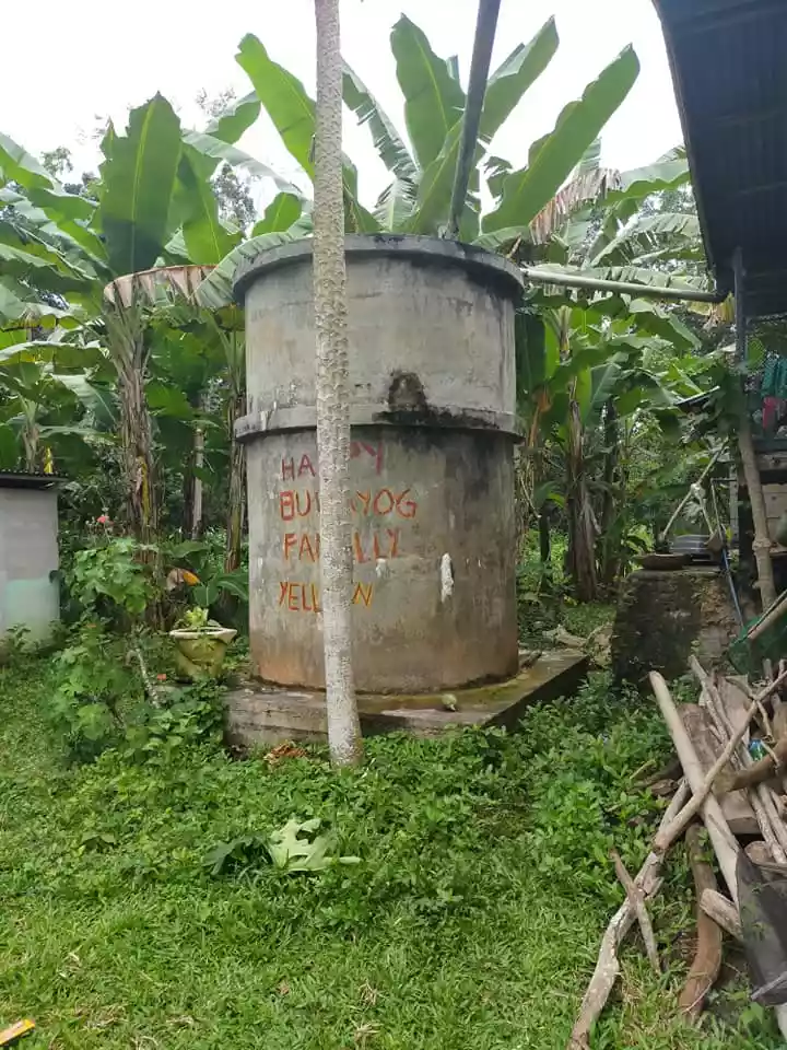 1668sqm clean title lot in Tinago Dauis Panglao Island Bohol 2,500 per sqm - photo 7