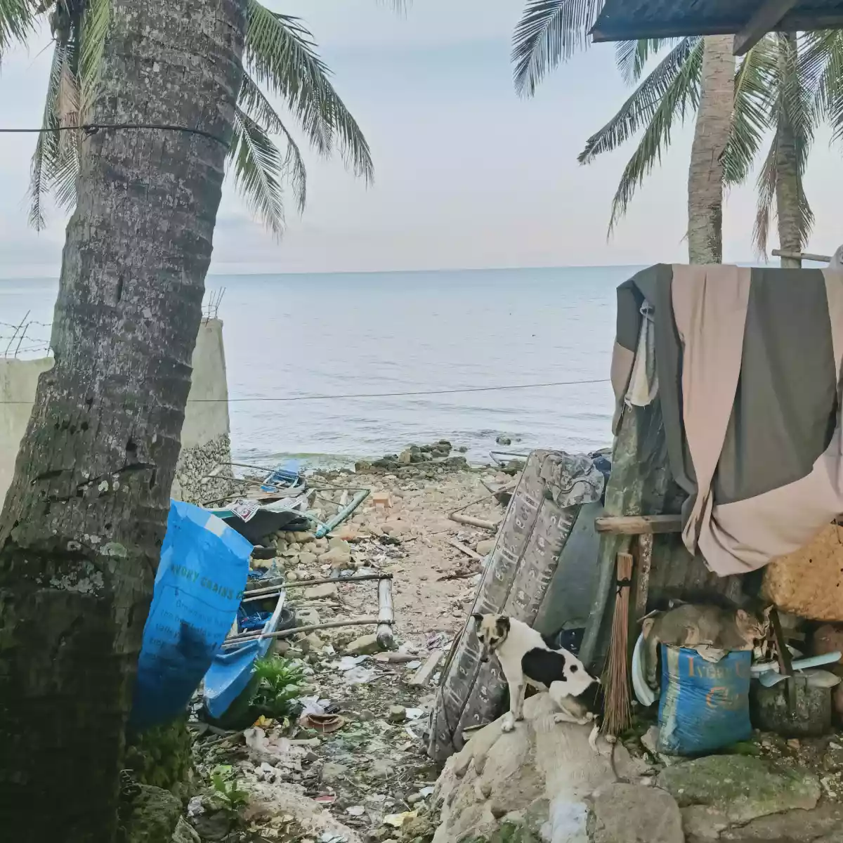 Beach Lot for Sale — Beach Lot in Danao City, Cebu, Philippines — Photo 4
