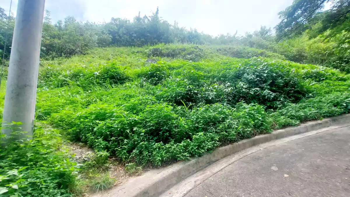 Residential Lots Adjascent for Sale in Aspen Heights Consolacion, Cebu — Residential Lot in Consolacion, Cebu, Philippines — Photo 4