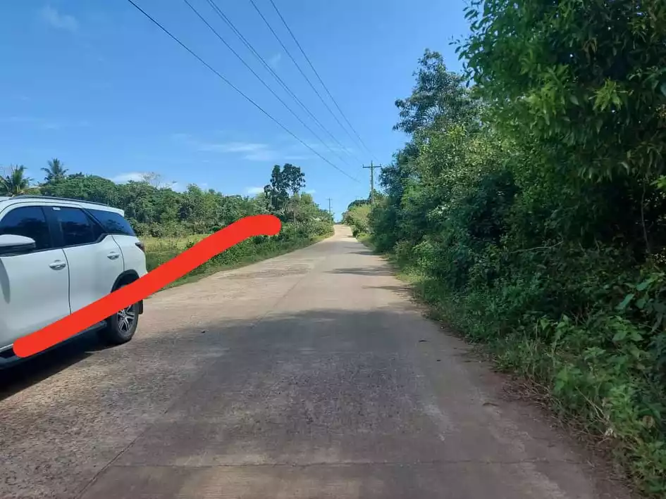 Lot For Sale in Panglao Bohol - photo 2