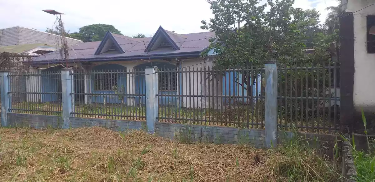 For Sale: 400 Sqm. Residential Lot with Stale House in Royeca Subdivision, GSC 