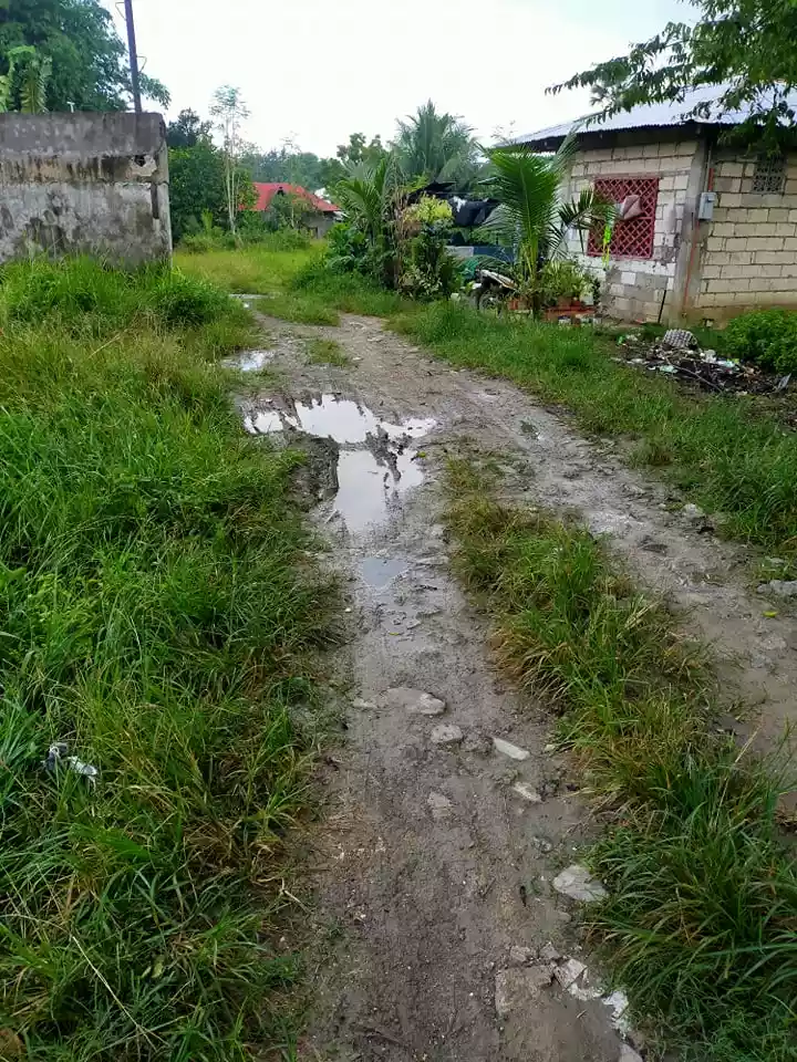 NEAR GRANDMALL CARCAR COMMERCIAL/RESIDENTIAL LOT — Commercial Lot in Carcar City, Cebu, Philippines — Photo 5