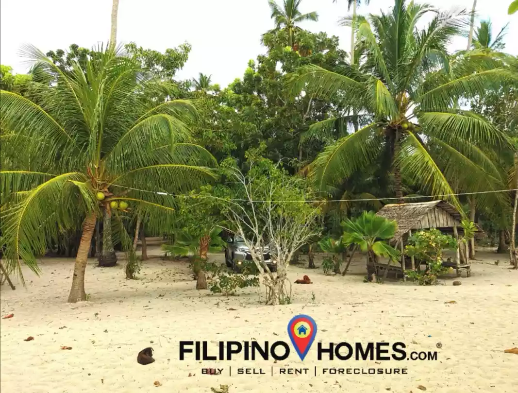 Open photo 15 of 25 — 3 Hectares Whitesand Beach Property 