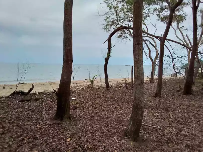 Sipalay City Beach Lot — Beach Lot in Sipalay, Negros Occidental, Philippines — Photo 6