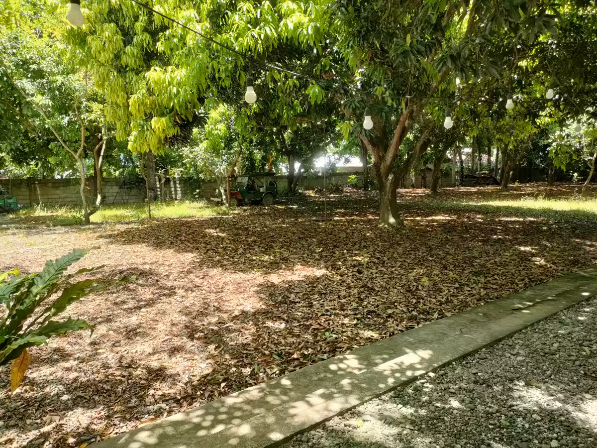 Open photo 16 of 22 — Lot for Sale with Bachelors Pad in Talay Dumaguete City