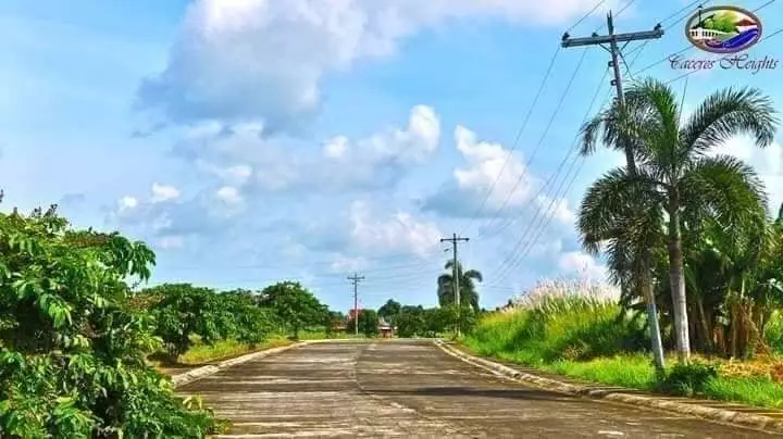 159 sqm LOT ONLY at Caceres Heights, Pacol - photo 6