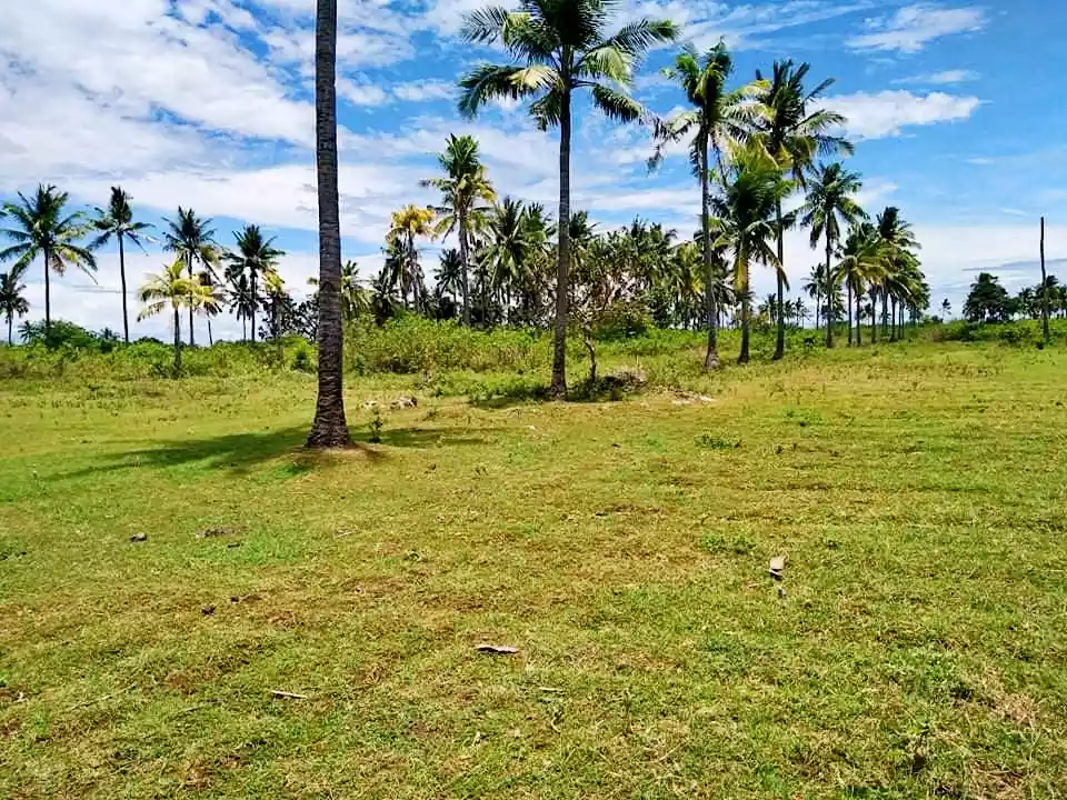 Beachlot - photo 4