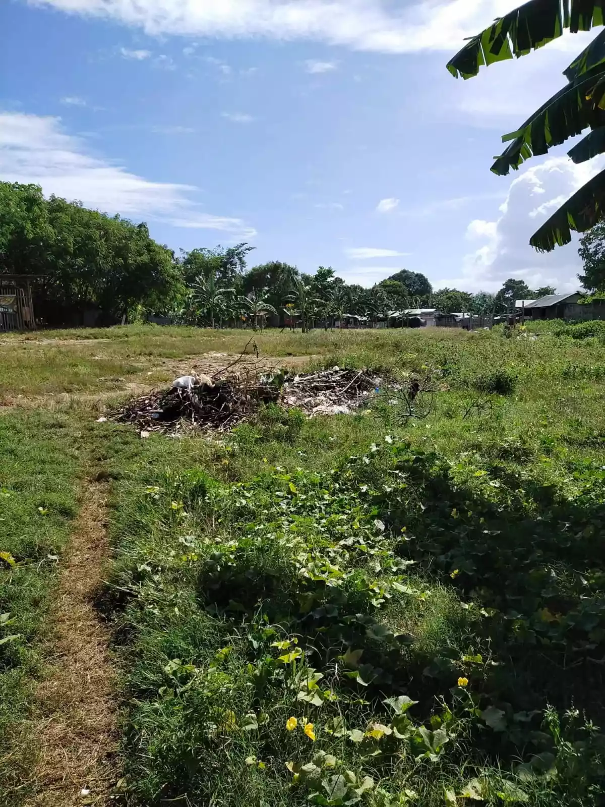 Affordable lot for sale - photo 5