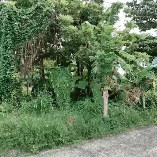 LOT FOR SALE?? — Residential Lot in Lapu-Lapu City, Cebu, Philippines — Photo 3