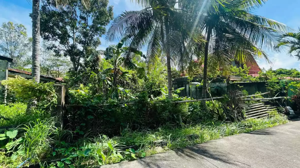 RUSH LOT FOR SALE! 355sq.m. Lot area | 09338238748  - photo 4