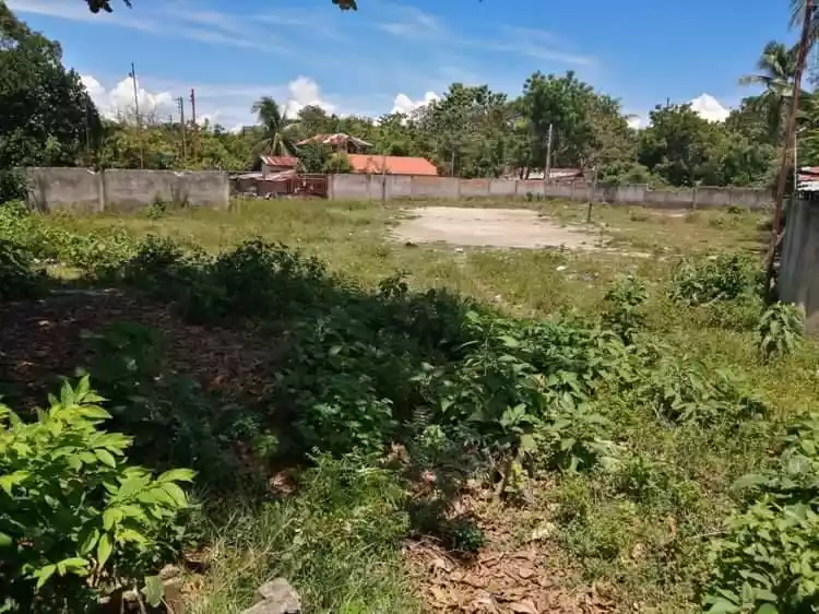 FOR SALE : 1500 SQUARE METER LOT IN MARIGONDON LAPU LAPU CITY — Agricultural Lot in Cebu, Philippines — Photo 6