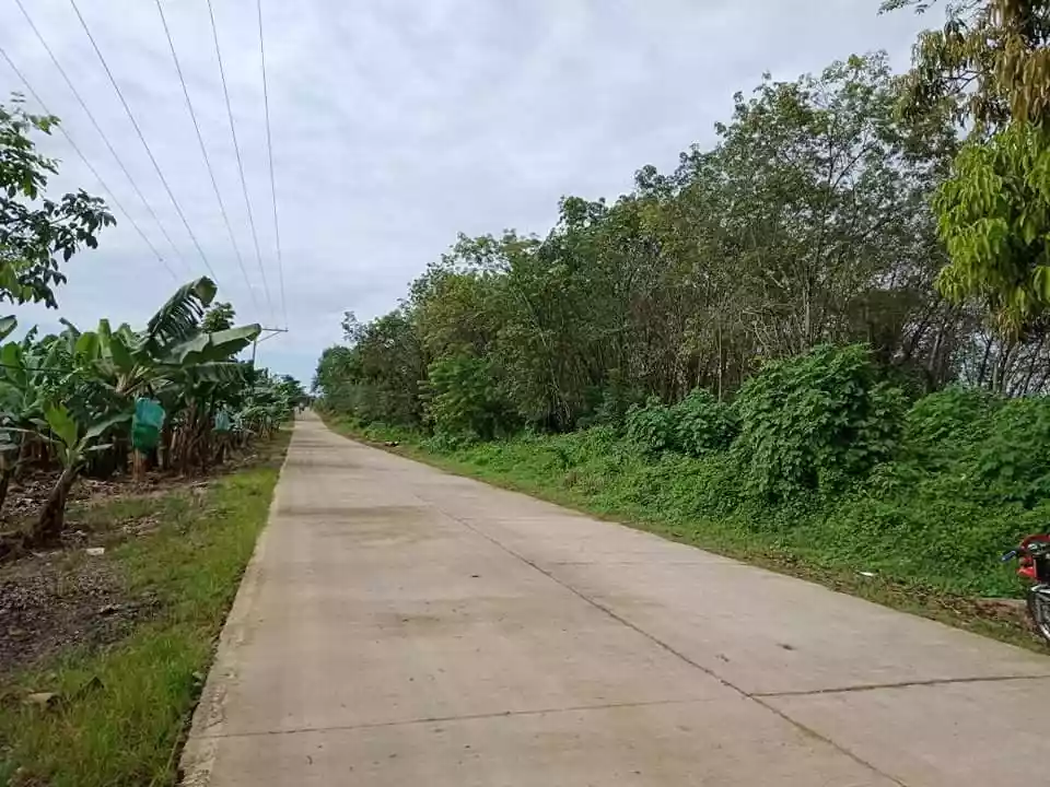 Agricultural Lot - photo 3