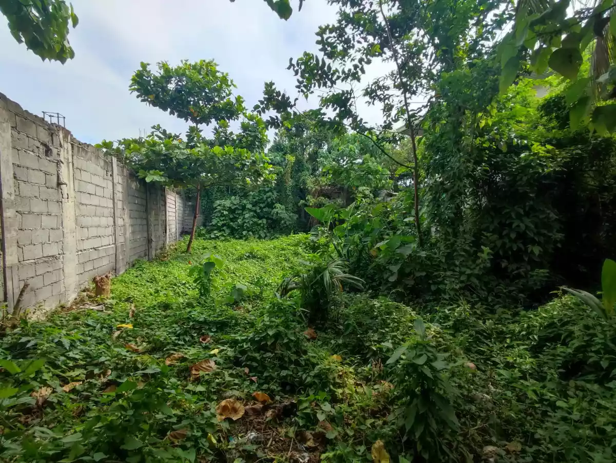 Residential Lot For Sale — Residential Lot in General Santos City, South Cotabato, Philippines — Photo 5