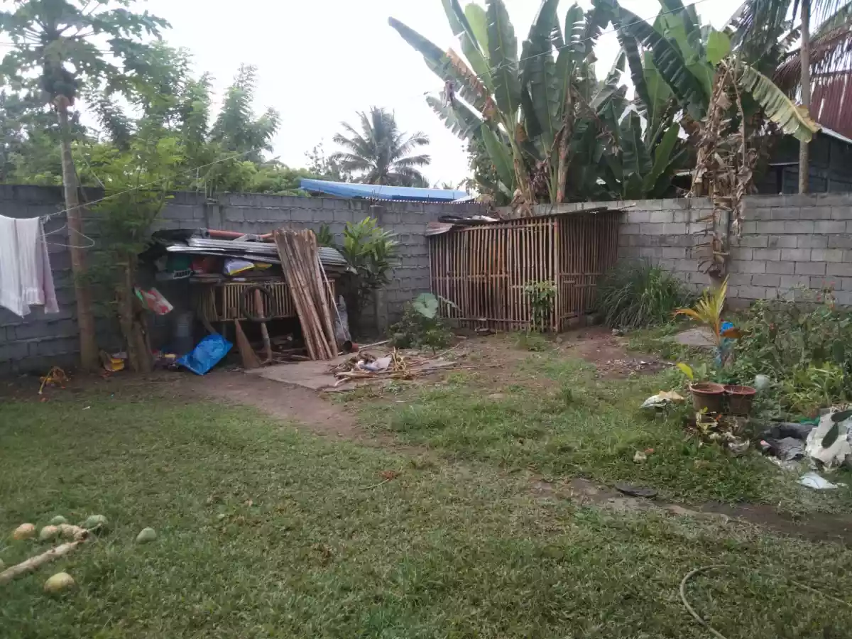Land w/ 3 Rooms (Apartment) - photo 5