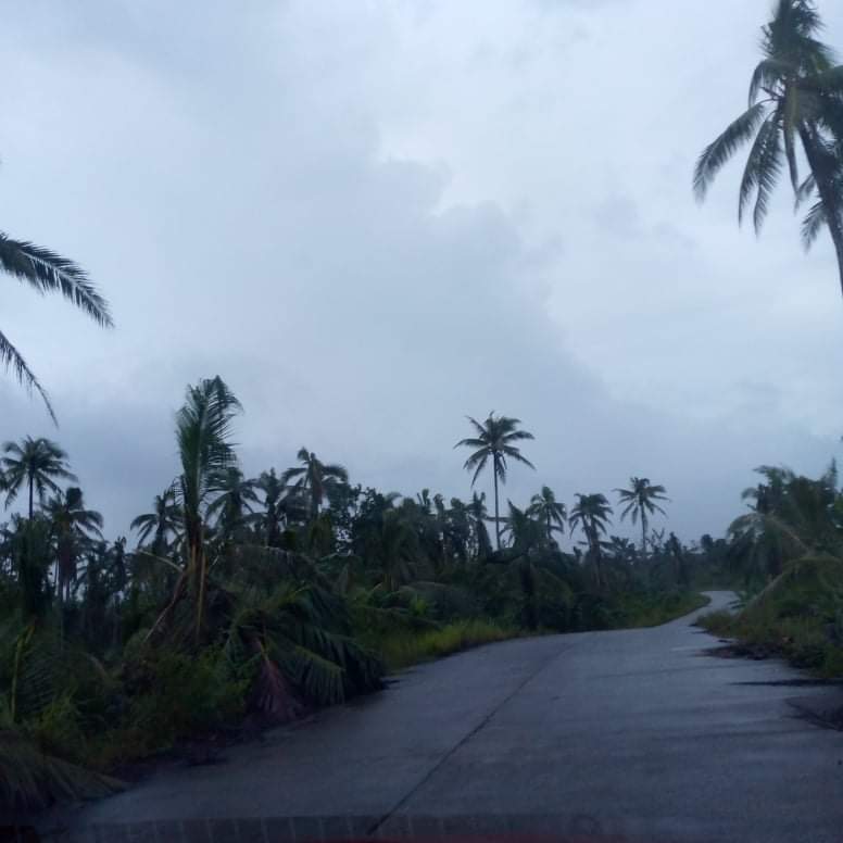 LOT FOR SALE IN CANCOHOY, DEL CARMEN, SIARGAO ISLANDS — Agricultural Lot in Surigao del Norte, Philippines — Photo 3