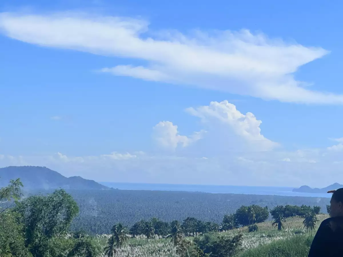  Ocean and Mountain View Property For Sale - photo 6