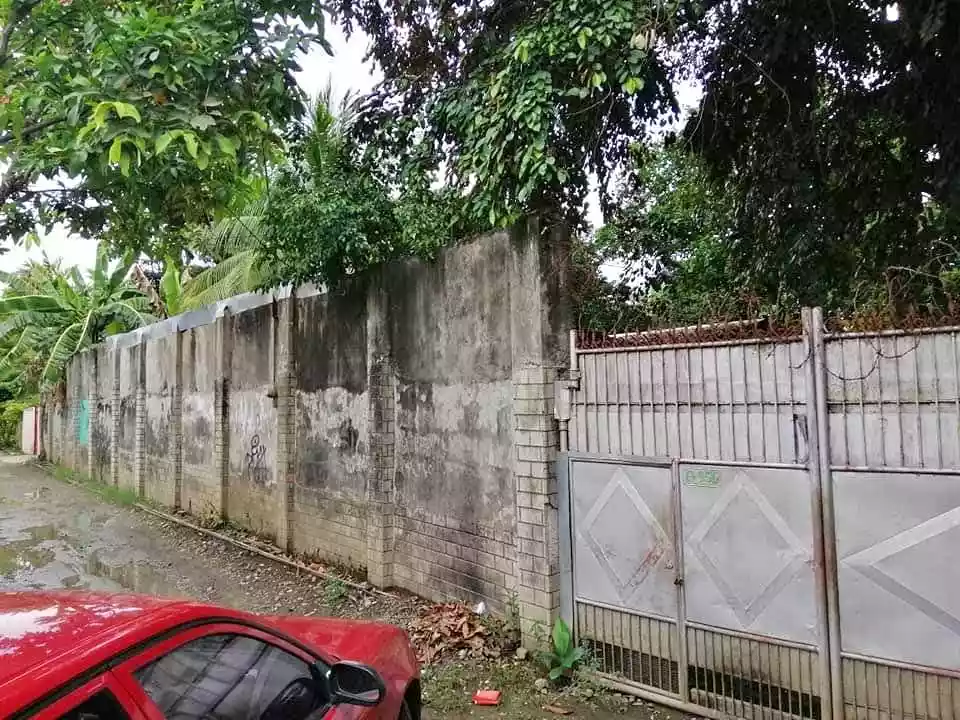 Residential Lot for Sale in Dumlog, Talisay City, Cebu — Residential Lot in Talisay, Cebu, Philippines — Photo 2