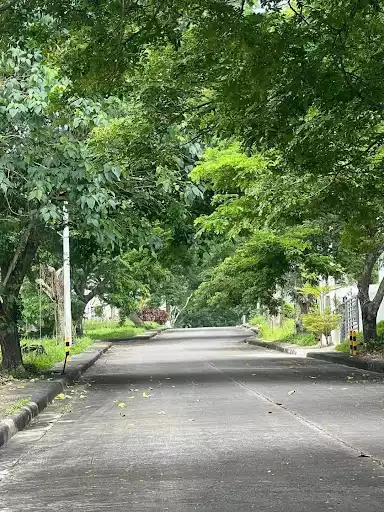 Rush Sale Lot only For Sale in Consolacion?? — Residential Lot in Consolacion, Cebu, Philippines — Photo 5