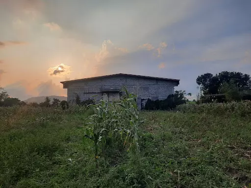 Warehouse for sale
