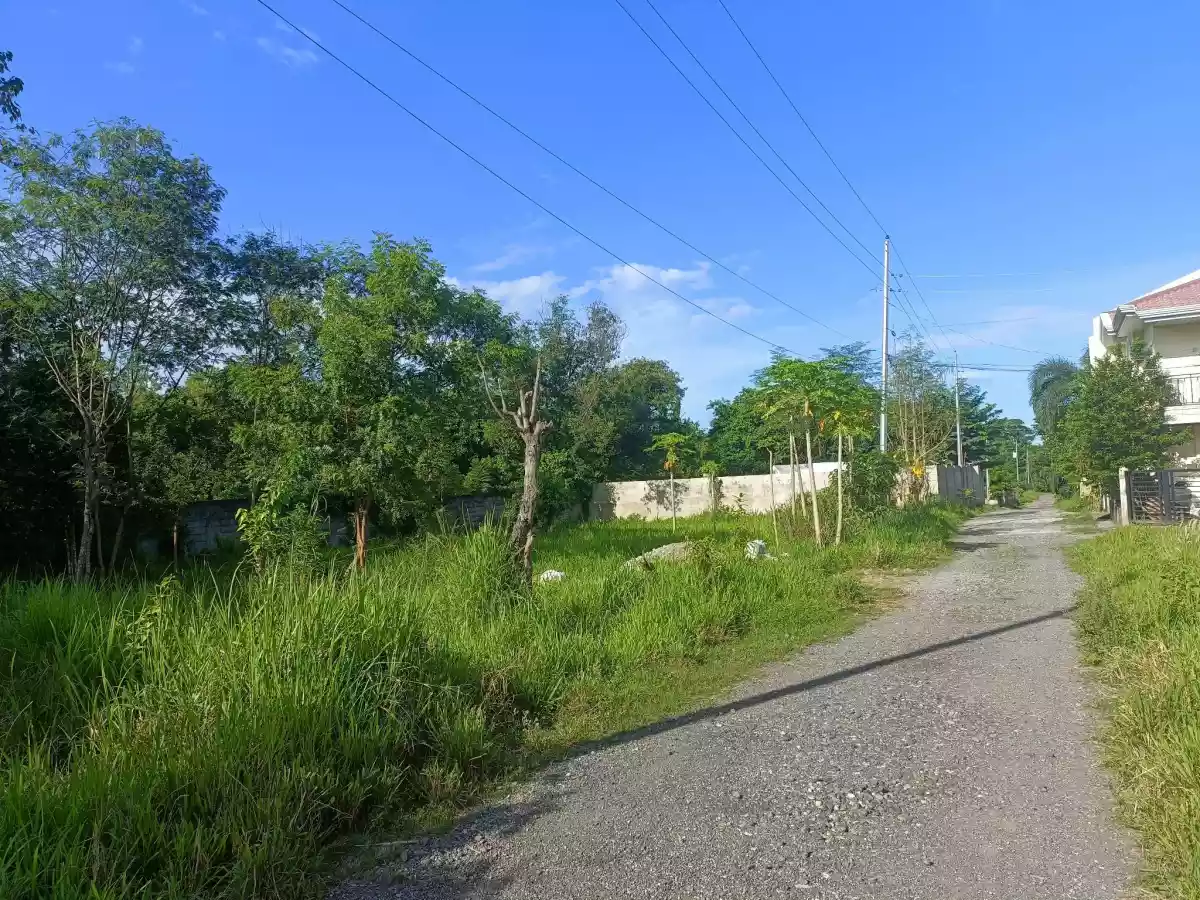 RESIDENCIAL LOT FOR SALE — Residential Lot in Dumaguete, Negros Oriental, Philippines — Photo 4