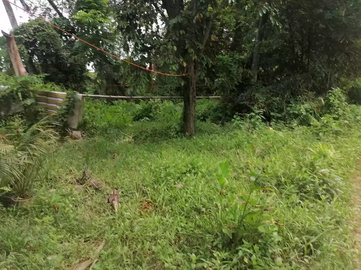 Commercial Lot for Sale - photo 3
