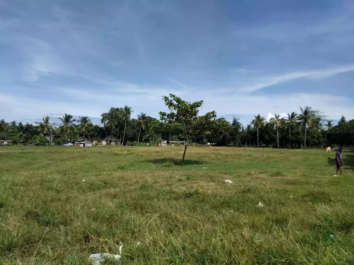 Industrial Lot for sale - photo 3