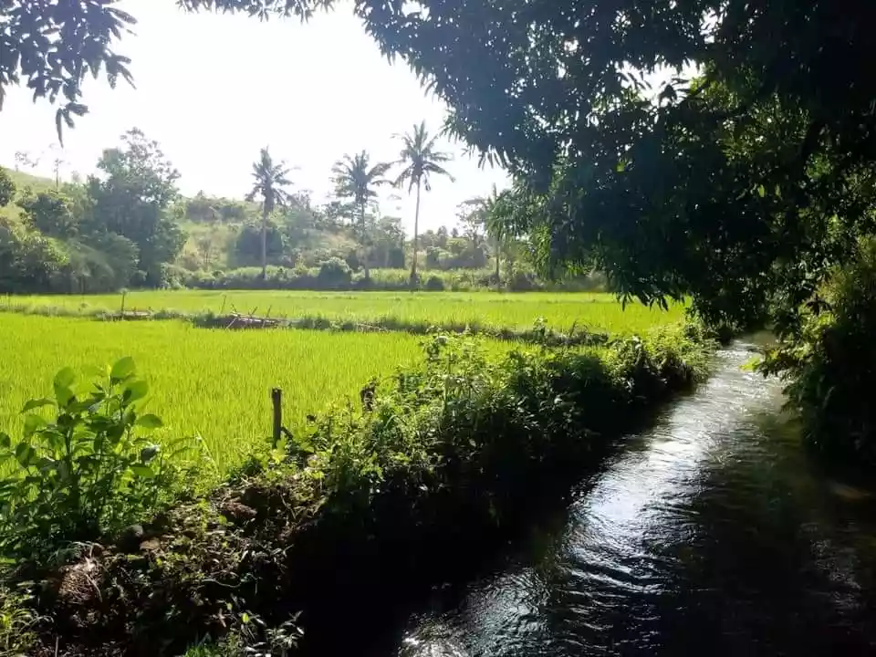 SUPER RUSH SALE ð…ð€ð‘ðŒ ð‹ðŽð“  ðŸð¨ð« ð’ð€ð‹ð„ 8.9561 ð‡ðžðœð­ðšð«ðžð¬, 150/sq m. LOWERED TO 100/sqm.