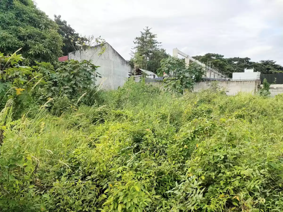 Residential Lot for Sale in Candau-ay, Dumaguete City — Residential Lot in Dumaguete City, Negros Oriental, Philippines — Photo 2