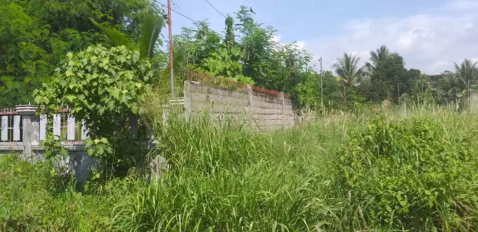 400 sqm Residential Lot for Sale in Mabuhay - photo 5
