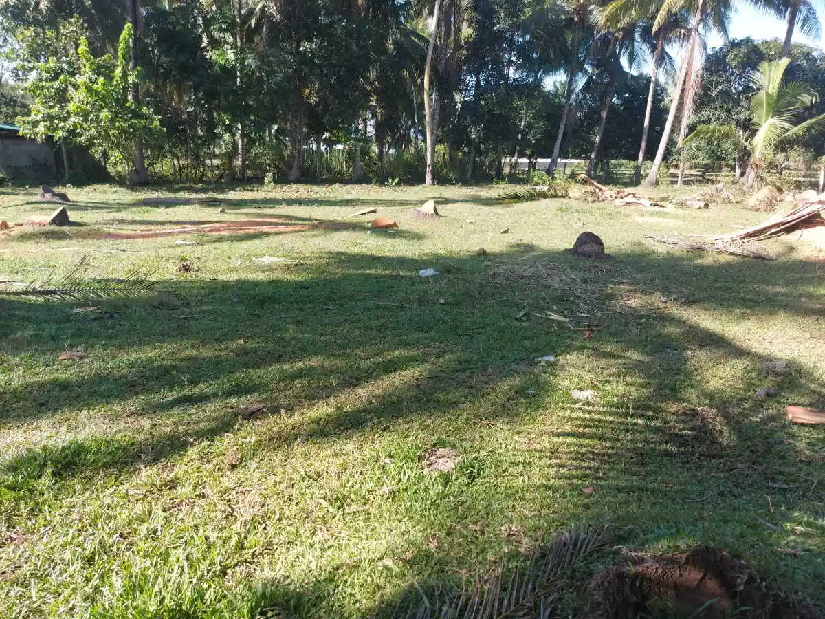 AFFORDABLE LOT FOR SALE IN SIBULAN - photo 6