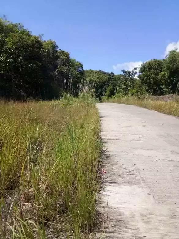 Farm Lot for Sale - photo 6