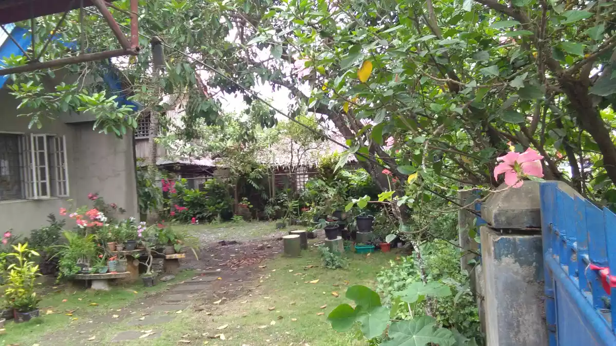 House and Lot for Sale - photo 3
