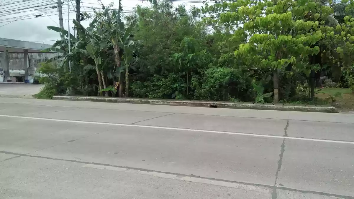 Commercial Lot in Bogo for Sale - photo 5