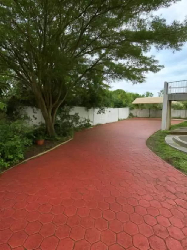 For Sale: 5BR House and Lot near Ladislawa Garden Village – Commercial Potential - photo 7
