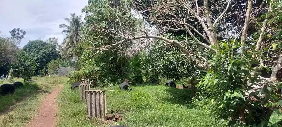 LOT FOR SALE IN INDAHAG, CDO CITY — Residential Lot in Cagayan de Oro, Misamis Oriental, Philippines — Photo 6