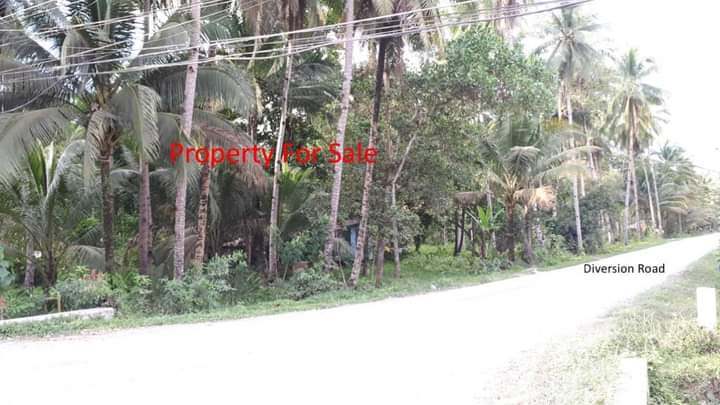 Commercial lot For Sale in Cabadbaran City, Agusan Del Norte