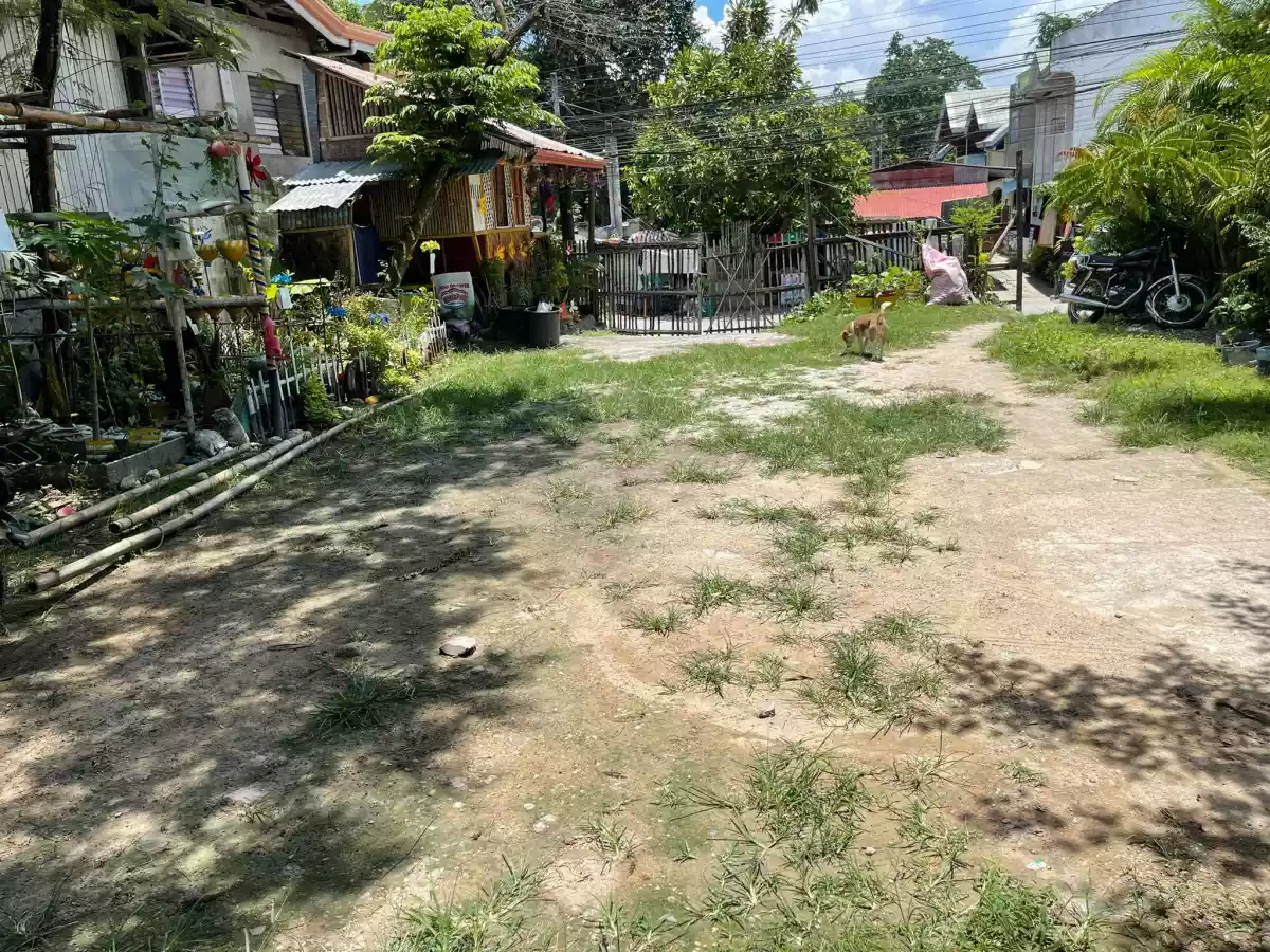 Commercial lot with structure FOR RENT - photo 7