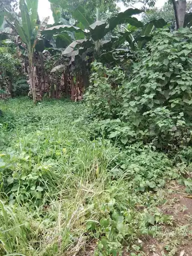 Lot for Sale in Tacunan Davao