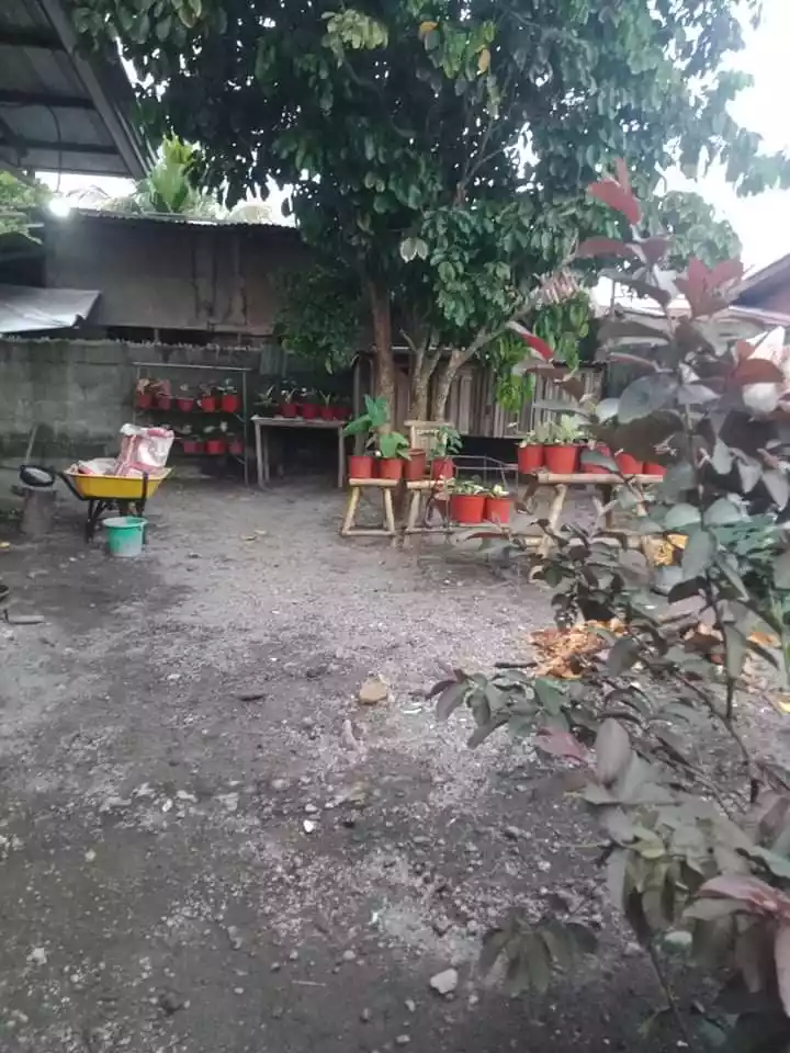 Polomolok House and Lot - photo 2