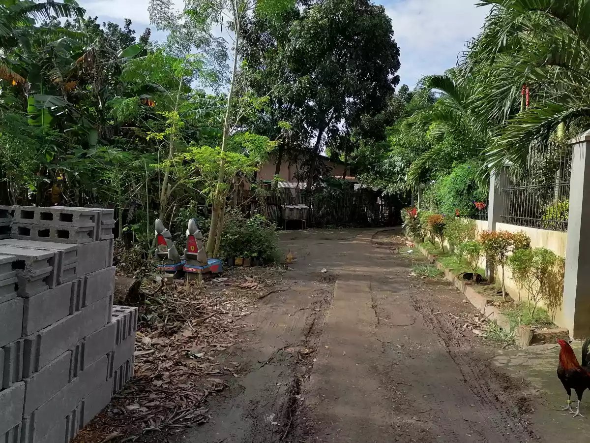 140 sqm in San Esteban Village Bago City - photo 4