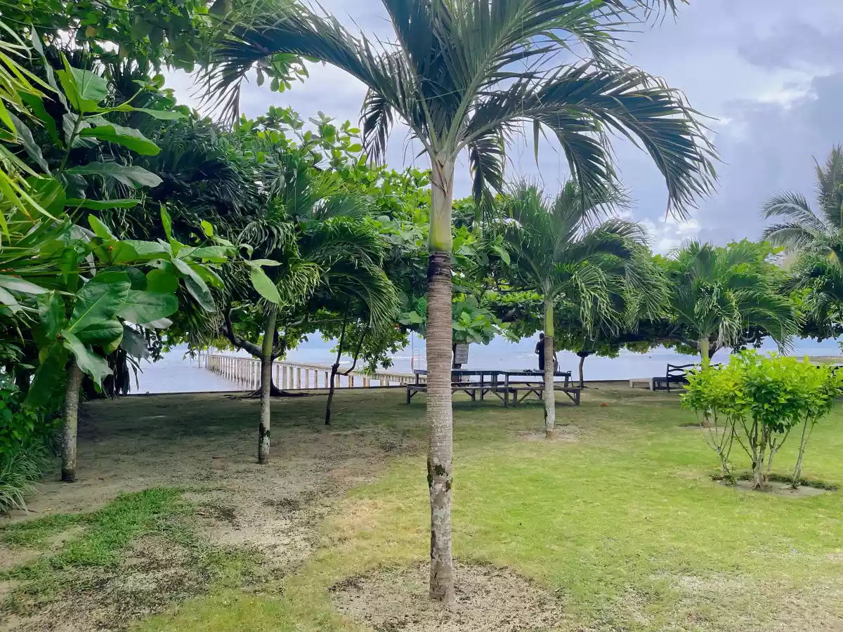 Open photo 15 of 43 — FOR SALE: BEACHFRONT RESORT IN SIARGAO@165M PHP
