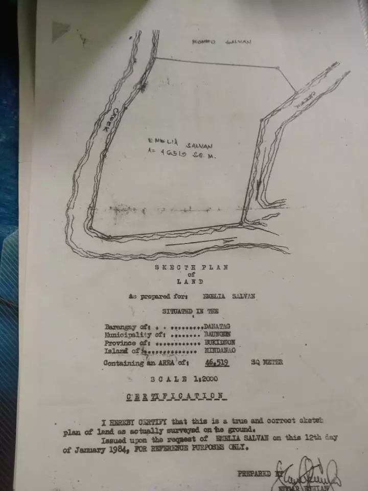10 hectares farm/agricultural land — Agricultural Lot in Baungon, Bukidnon, Philippines — Photo 6