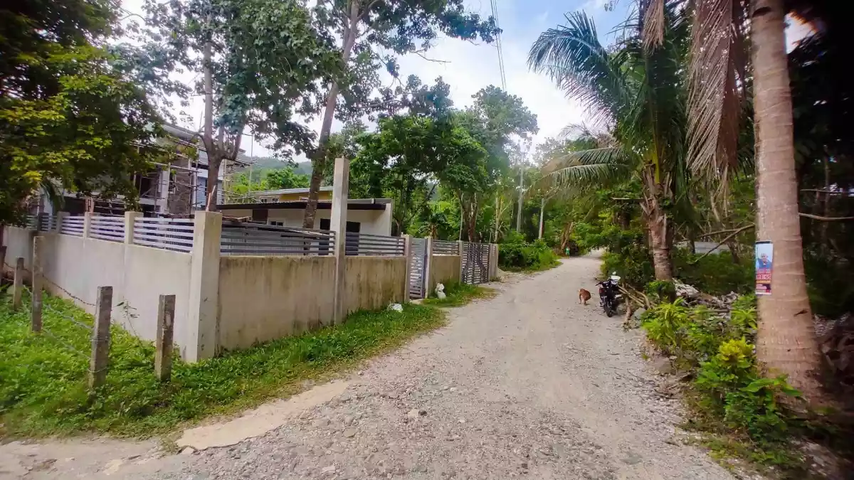 Lot for Sale near Nata-asan BeachResort — Agricultural Lot in Negros Occidental, Philippines — Photo 3
