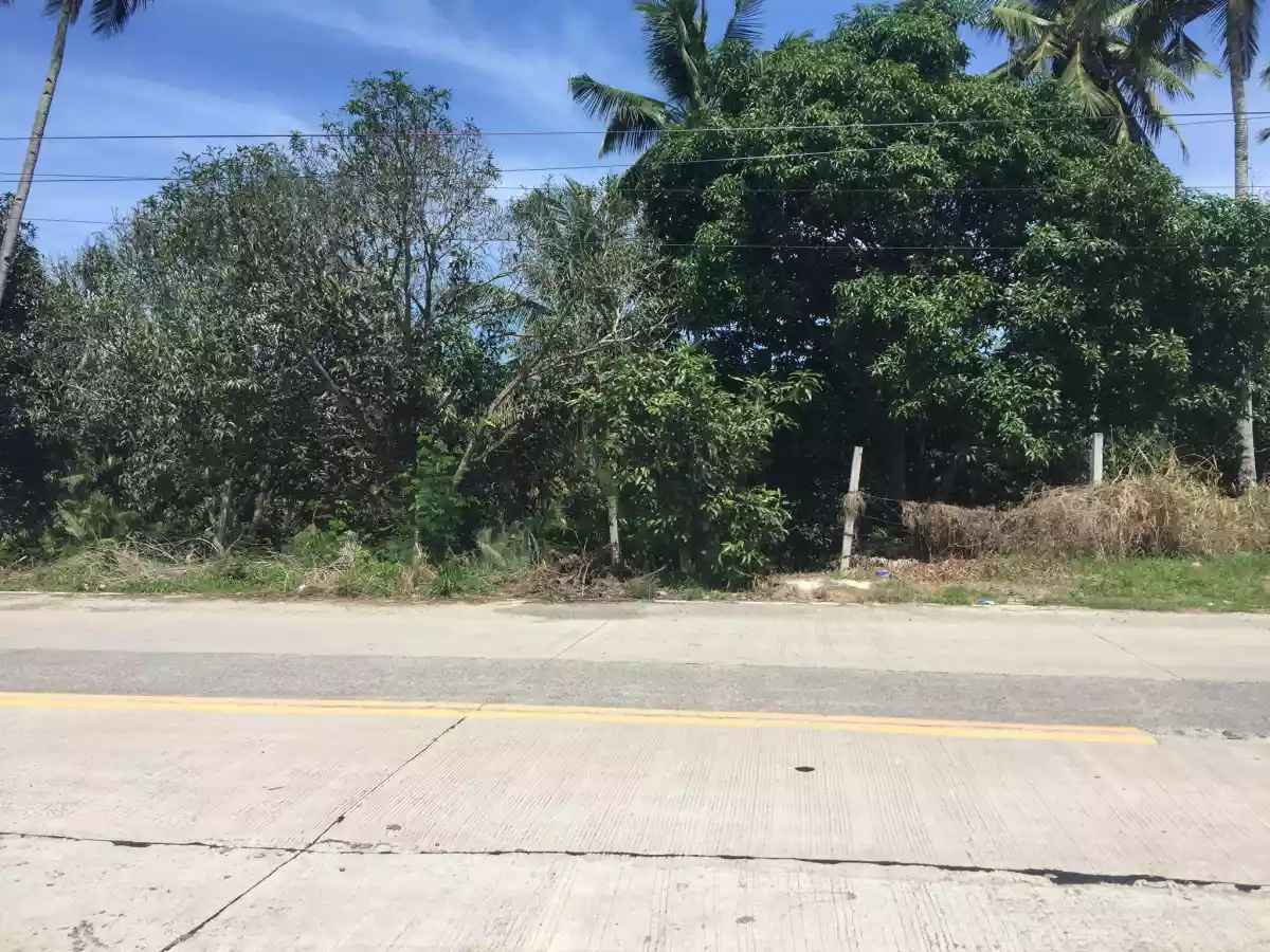 Commercial Lot 1.4has — Commercial Lot in Bunawan, Davao City, Davao del Sur — Photo 3
