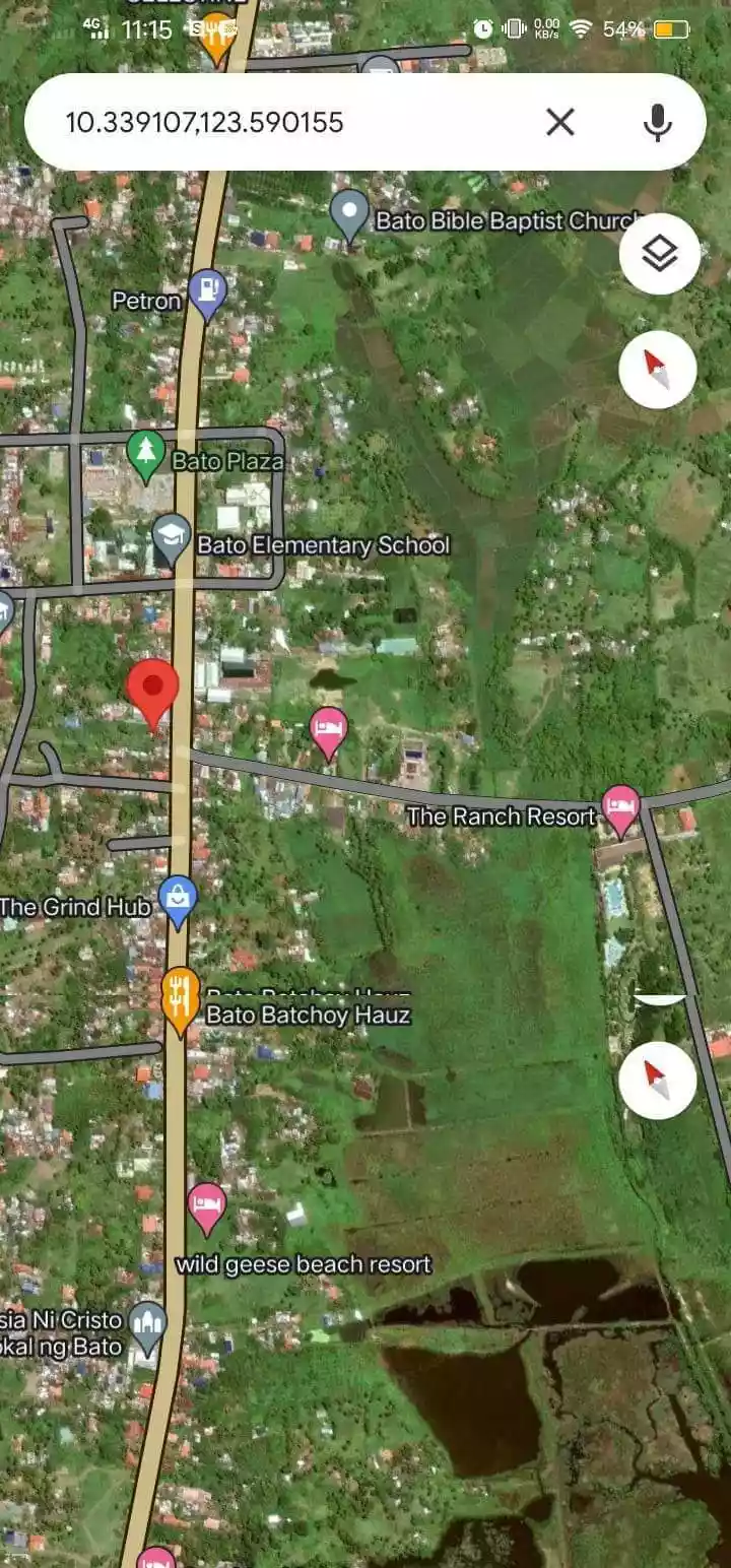 BRGY BATO TOLEDO CITY — Commercial Lot in Cebu, Philippines — Photo 6