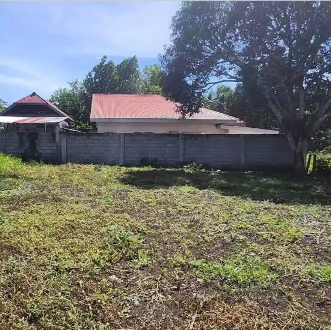 Lot for Sale in Purok Malinawon, Conel, General Santos City - photo 4