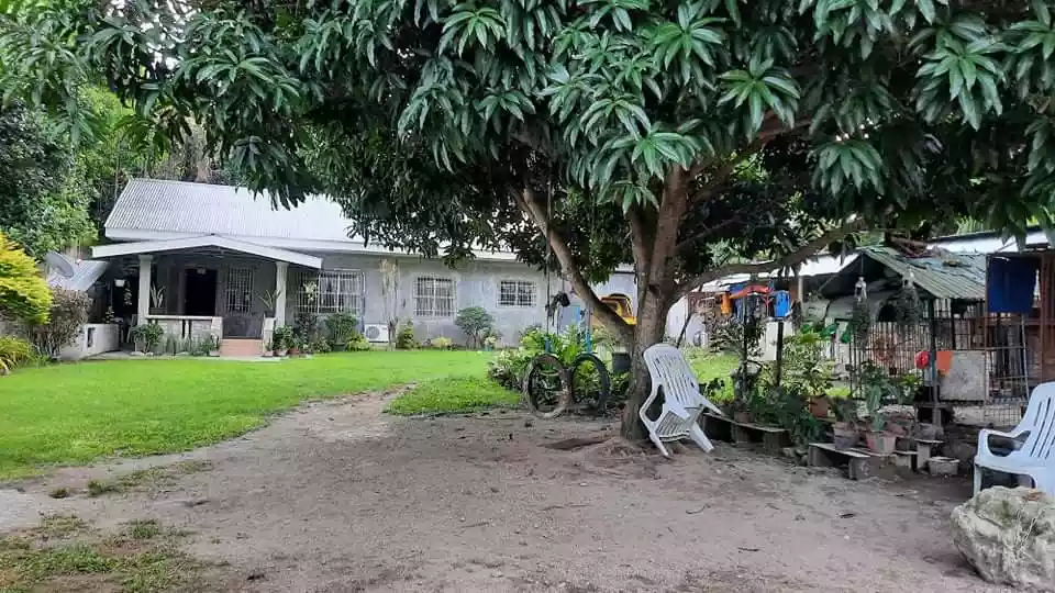 Clean title House and lot for sale in Bacong,Negros Oriental (along the road) — House and Lot in Negros Oriental, Philippines — Photo 4